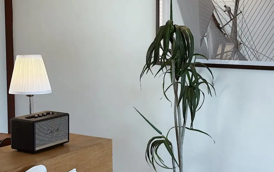 518321993_1160897119409711_614814319683154348_n